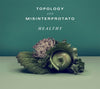 Healthy: Topology+Misinterprotato